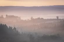 Des activités pour vous reconnecter à la nature