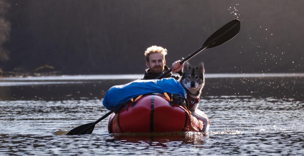 6 activités à faire en Ardenne avec son chien