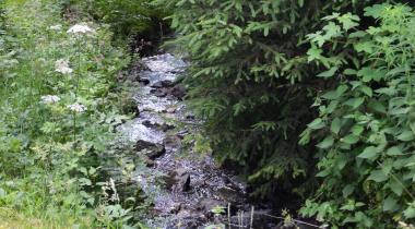 Ruisseau vers la Warche carré