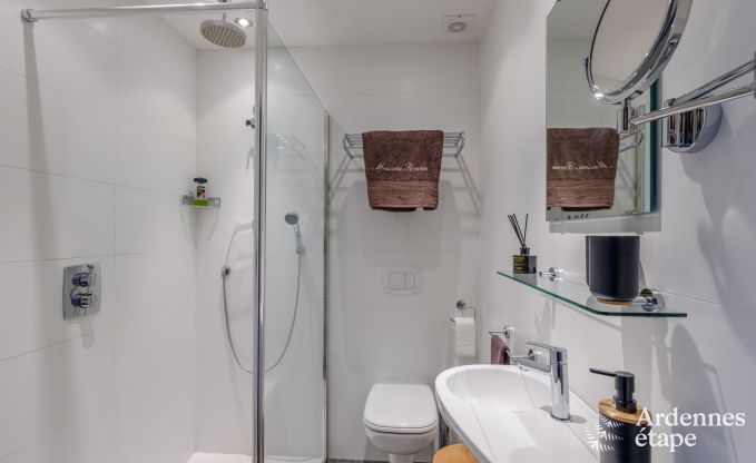 Ferienhaus Alle-sur-Semois 9 Pers. Ardennen