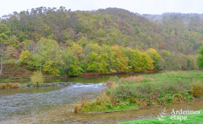 Ferienhaus Alle-sur-Semois 9 Pers. Ardennen