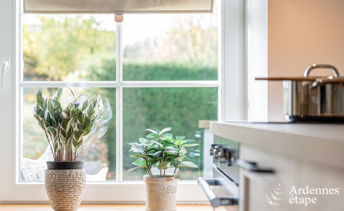 Charmantes Ferienhaus Alle-sur-Semois, 4 Personen, 2 Schlafzimmer mit Badezimmer, Fu�bodenheizung, haustierfreundlich, in der N�he des Nationalparks Semois-Tal