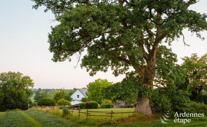 Ferienhaus Amel 30 Pers. Ardennen Wellness Behinderten gerecht