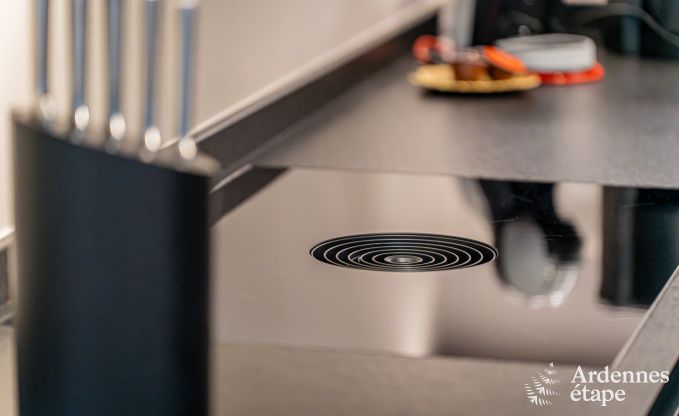 Wunderschnes Ferienhaus mit Auenwhirlpool und Sauna in Amel, Hohes Venn