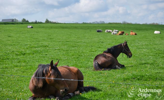 Romantisches Ferienhaus mit Wellness f�r Paare in Andenne