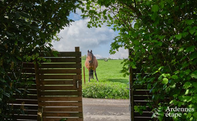 Romantisches Ferienhaus mit Wellness f�r Paare in Andenne