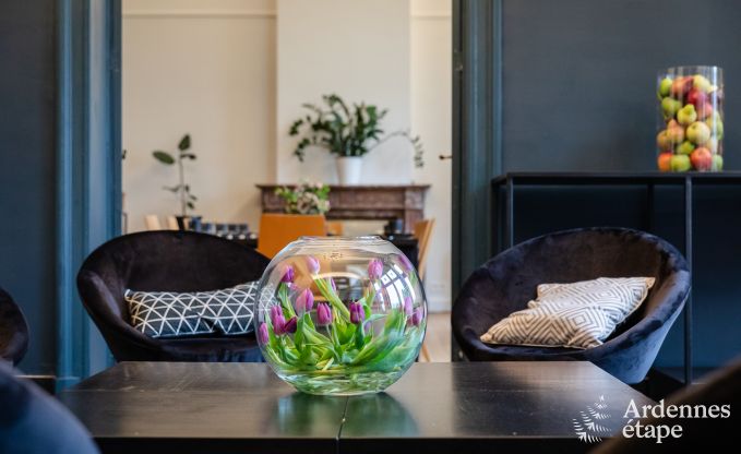 Ferienhaus Anh�e 24/26 Pers. Ardennen, cl� verte-label