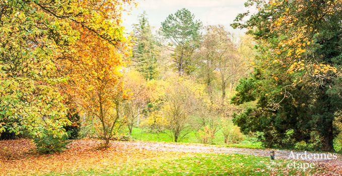 Ferienhaus Anh�e 24/26 Pers. Ardennen, cl� verte-label