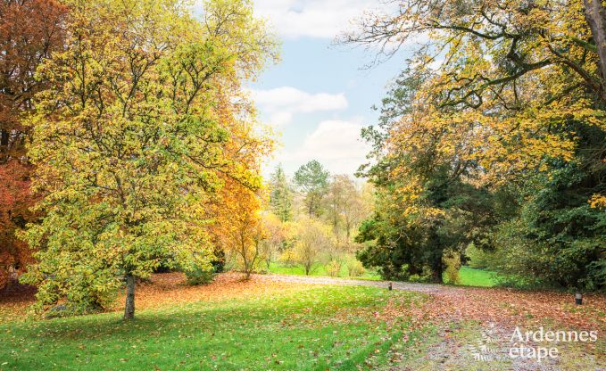 Ferienhaus Anh�e 24/26 Pers. Ardennen, cl� verte-label