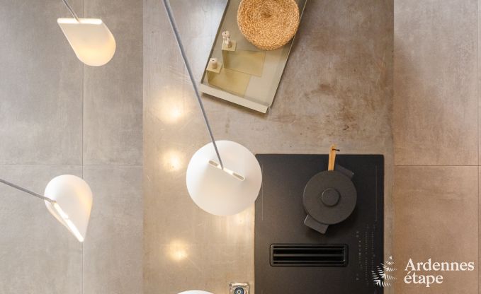 Authentisches Ferienhaus fr 6 Personen in Anhe mit privater Sauna, berdachter Terrasse und luxurisem Interieur