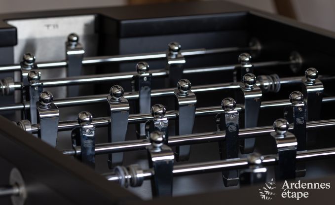 Authentisches Ferienhaus fr 6 Personen in Anhe mit privater Sauna, berdachter Terrasse und luxurisem Interieur