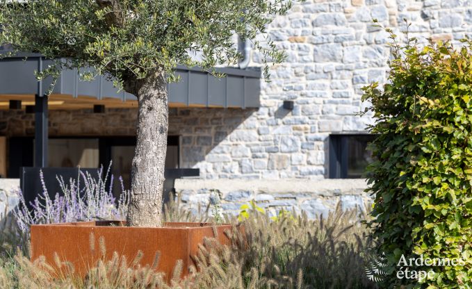 Authentisches Ferienhaus fr 6 Personen in Anhe mit privater Sauna, berdachter Terrasse und luxurisem Interieur