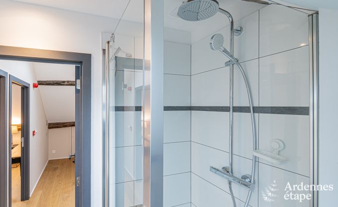 Ferienhaus Anh�e 15 Pers. Ardennen