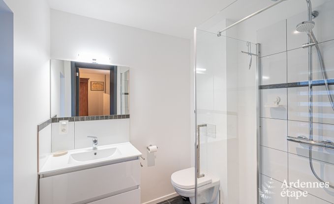 Ferienhaus Anh�e 15 Pers. Ardennen