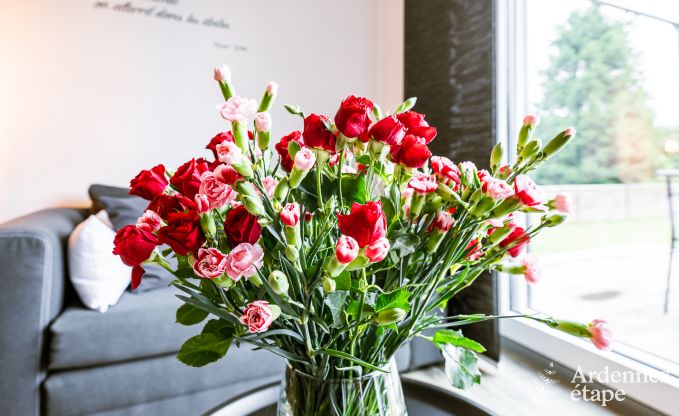 Ferienhaus Anhe 2/3 Pers. Ardennen Wellness