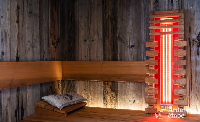 Authentisches Ferienhaus fr 6 Personen in Anhe mit privater Sauna, berdachter Terrasse und luxurisem Interieur