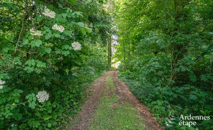 Gerumige Villa in Assesse, 9 Personen mit 5 Schlafzimmern und eurem eigenen Park
