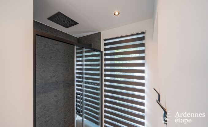 Luxusvilla mit Pool und Sauna in Assesse, Ardennen