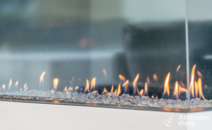 Luxusvilla mit Pool und Sauna in Assesse, Ardennen