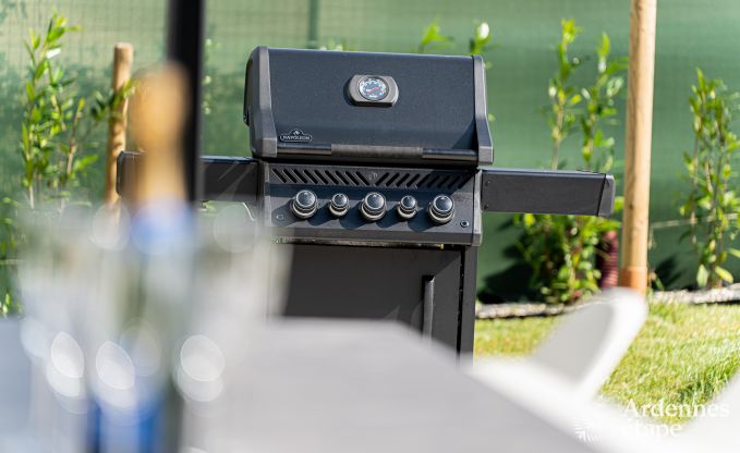 Luxusvilla mit Pool und Sauna in Assesse, Ardennen