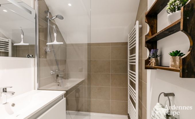 Ferienhaus Assesse 6/8 Pers. Ardennen