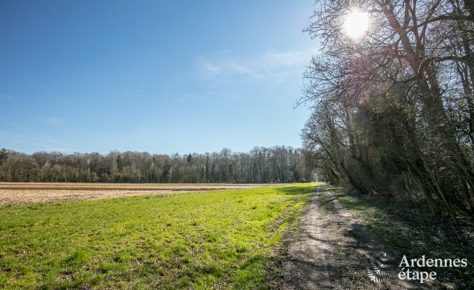 Ferienhaus Assesse 6/8 Pers. Ardennen