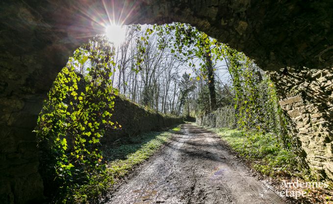 Ferienhaus Assesse 6/8 Pers. Ardennen