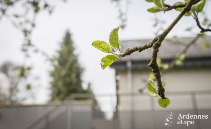 Ferienhaus Attert 4 Pers. Ardennen