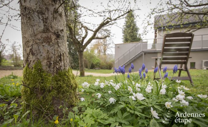 Ferienhaus Attert 4 Pers. Ardennen