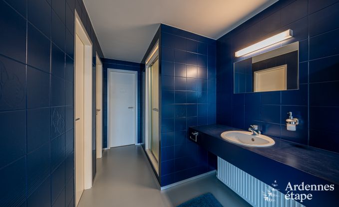 Luxusvilla Aubel 13 Pers. Ardennen Schwimmbad Wellness