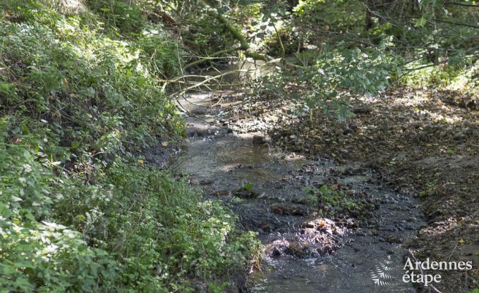 Schloss Aubel 28 Pers. Ardennen Schwimmbad Wellness