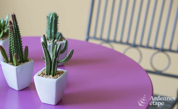 Schloss Aubel 28 Pers. Ardennen Schwimmbad Wellness