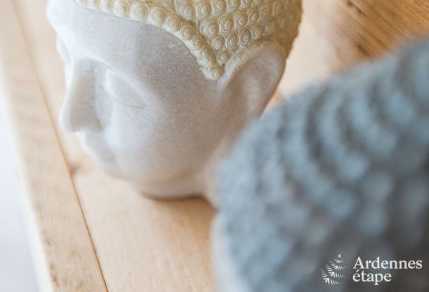 Ferienhaus Aubel 45 Pers. Ardennen Behinderten gerecht