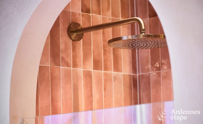 Luxusvilla Aubel 8 Pers. Ardennen Wellness