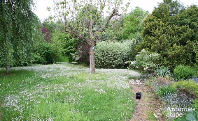 Ferienhaus Aywaille 2 Pers. Ardennen