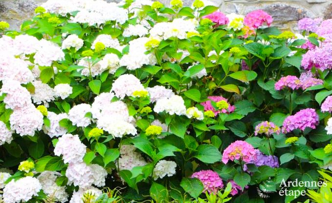 Ferienhaus Aywaille 2 Pers. Ardennen