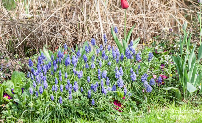 Ferienhaus Aywaille 2/4 Pers. Ardennen