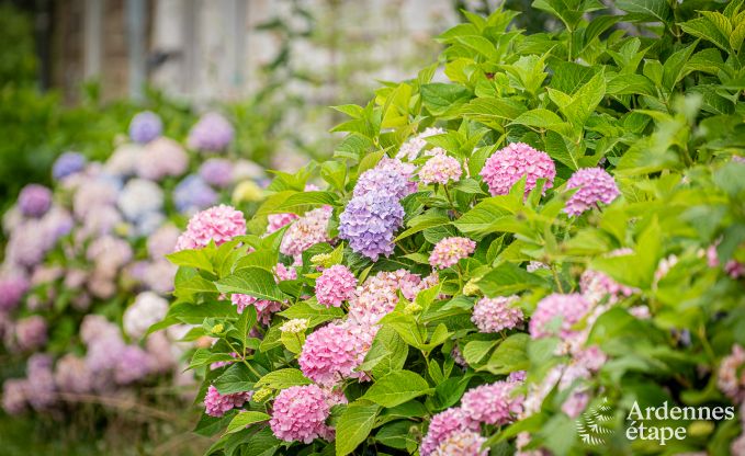 Luxusvilla Aywaille 15 Pers. Ardennen