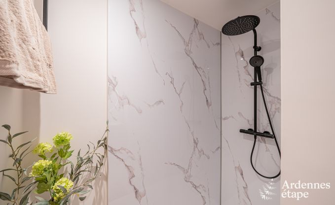 Luxuri�ses Ferienhaus in Baillonville f�r 6 Personen mit Wellness und beheiztem Schwimmbad