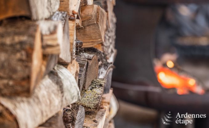 Ferienhaus Baives (FR) 10 Pers. Ardennen
