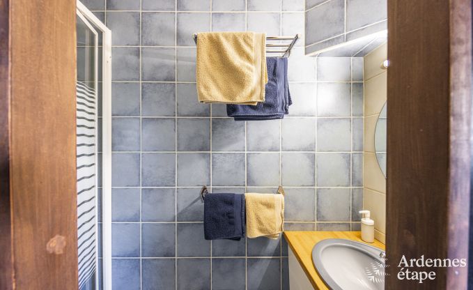 Ferienhaus Baives (FR) 10 Pers. Ardennen