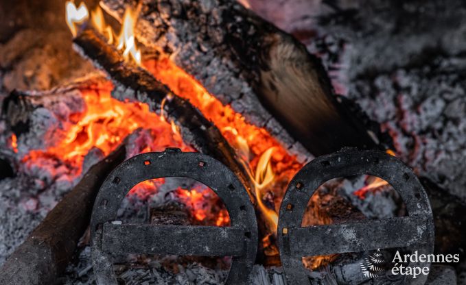 Ferienhaus Baives (FR) 10 Pers. Ardennen