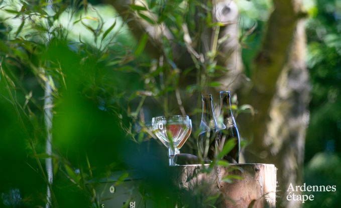 Ferienhaus Bastogne 12 Pers. Ardennen