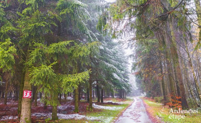 Ferienhaus Bastogne 4 Pers. Ardennen Behinderten gerecht