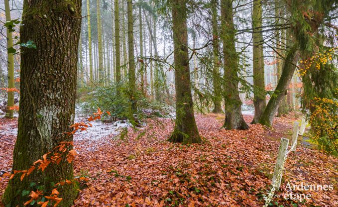 Ferienhaus Bastogne 4 Pers. Ardennen Behinderten gerecht