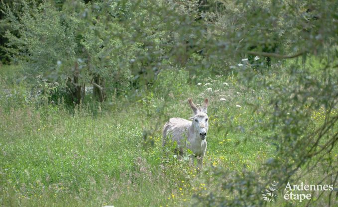 Freistehendes Ferienhaus in Bastogne, Ardennen