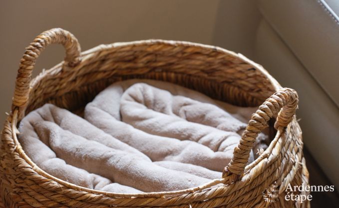 H�bsch restauriertes Ferienhaus in Bastogne, Ardennen