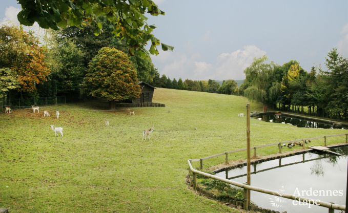 Ferienhaus Bastogne 4 Pers. Ardennen Wellness