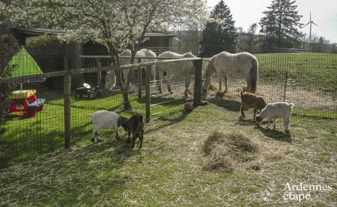 Ferienhaus Bastogne 12 Pers. Ardennen