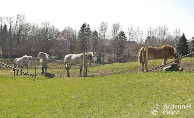 Ferienhaus Bastogne 12 Pers. Ardennen